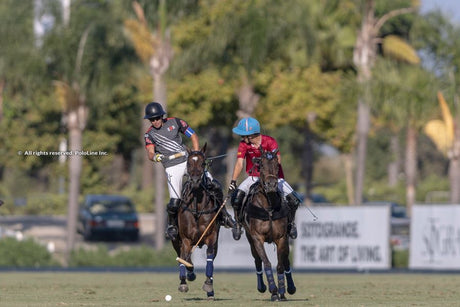 Amanara and Black Bears Reach Terralpa Silver Cup Final