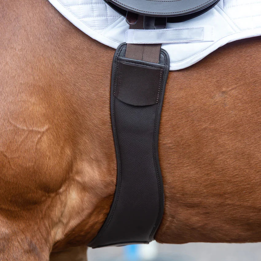 Kent and Masters Long Girth