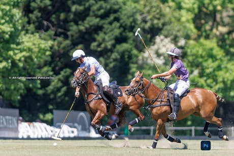 85º Tortugas Open: Incontri Emozionanti nella Lega A