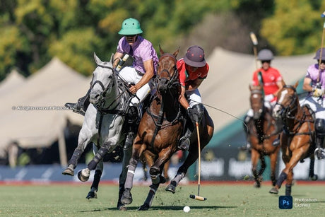 132. Argentinische Polo-Open-Meisterschaft: Spannende Siege setzen sich fort