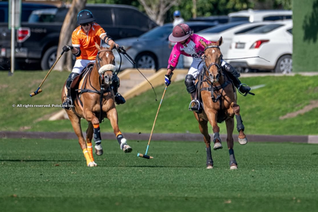 Começo Empolgante: Copa da Federação de Polo dos Emirados Árabes Unidos em Dubai