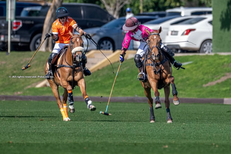 Inizio Emozionante: Coppa della Federazione di Polo degli Emirati a Dubai