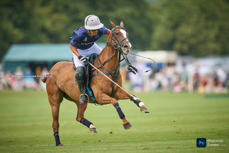 Polo Season Transition: From England to Argentina's Triple Crown