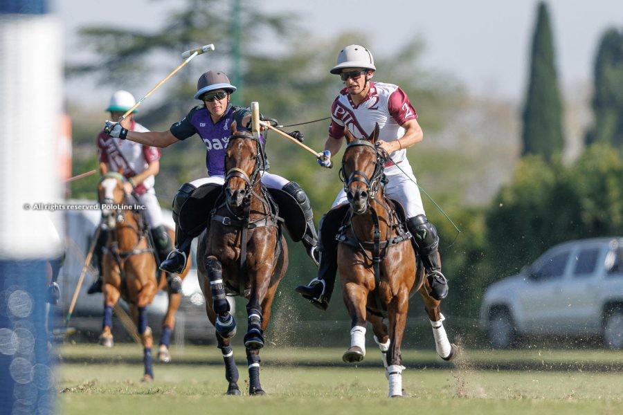 Scone und Pilot ziehen ins Finale der 60. Jockey Club Open ein